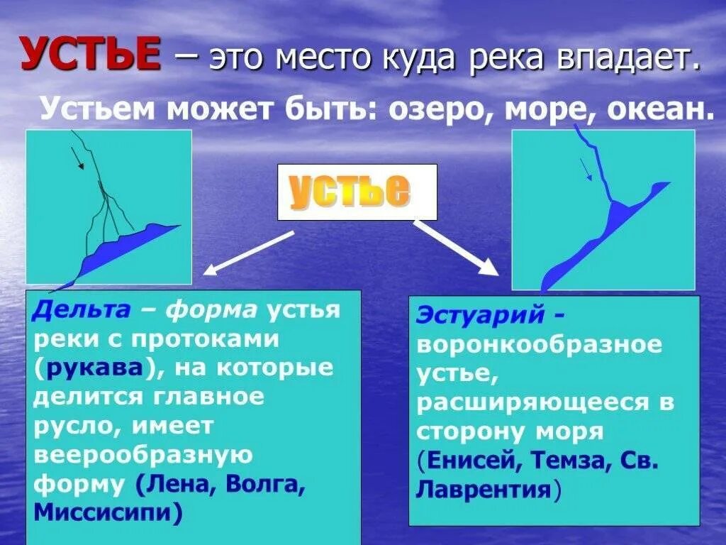 Что такое устье реки