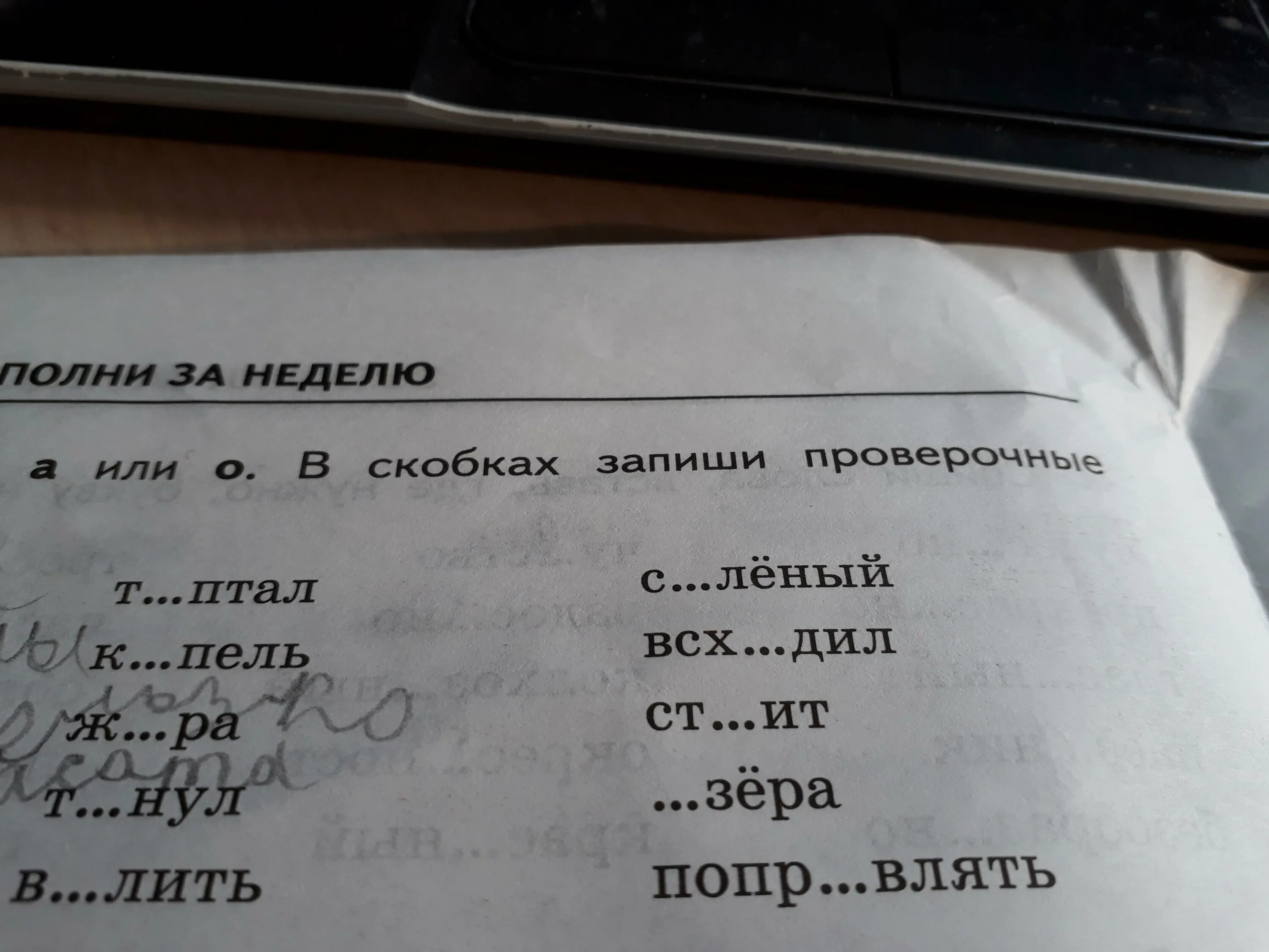 Запиши проверочные слова вставь буквы. Запиши в скобках проверочные слова вставь буквы. Запиши запиши проверочные слова вставь буквы. В скобках проверочные слова вставь буквы. Вставь пропущенную орфограмму подобрав проверочное слово