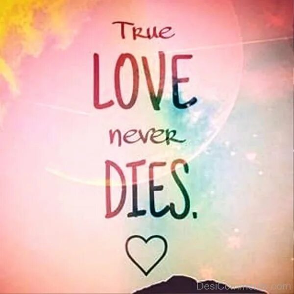 It s a never love. Love never dies. True Love never dies. True Love never dies перевод. Otherwise true Love never dies.