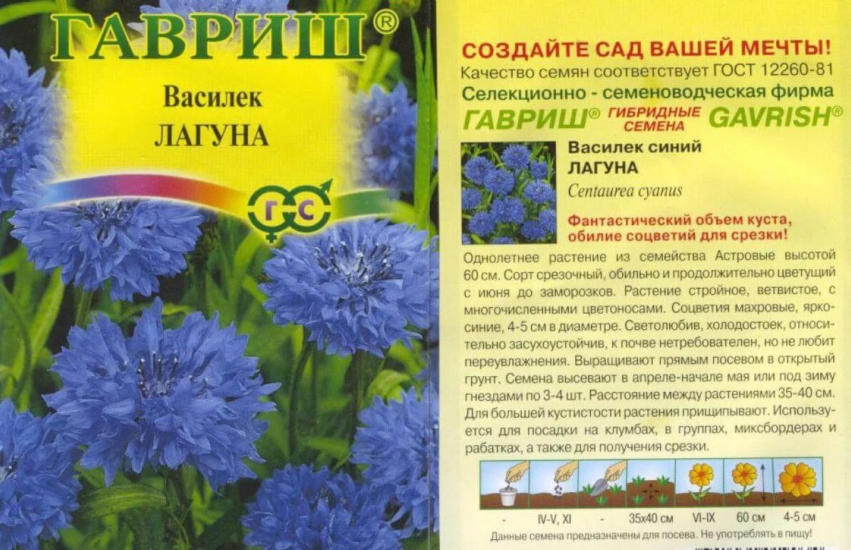 Когда садить василек на рассаду. Центаурея василек многолетний. гавриш василек синий многолетний. василек цветок многолетник. василек многолетний смесь сортов семена.