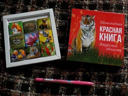 Книга амурские