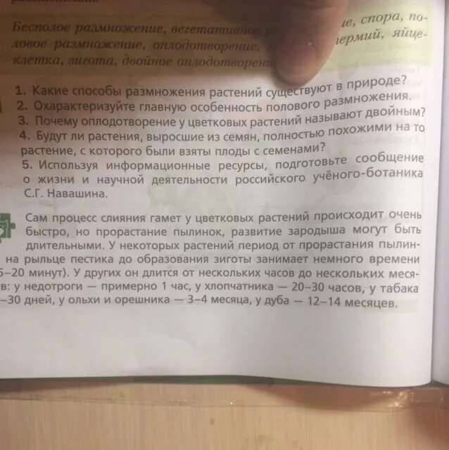 Используя информацию ресурсы подготовьте сообщение. Жизнь и научная деятельность Навашина. Жизнь и научная деятельность ботаника с г Навашина. Сообщение жизнь и научная деятельность ученого ботаника. Доклад жизнь и научная деятельность ученого ботаника Навашина.