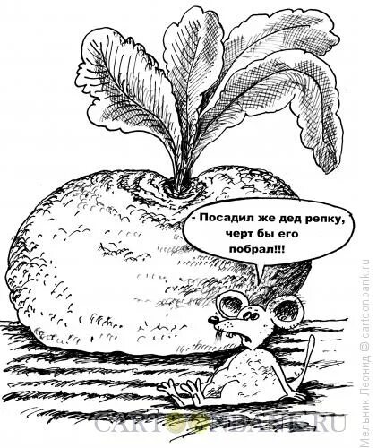 Дедушка посадил дерево 54 года. Репка карикатура. Шутки про репку. Смешные карикатуры про репку. Шутки про сказку Репка.