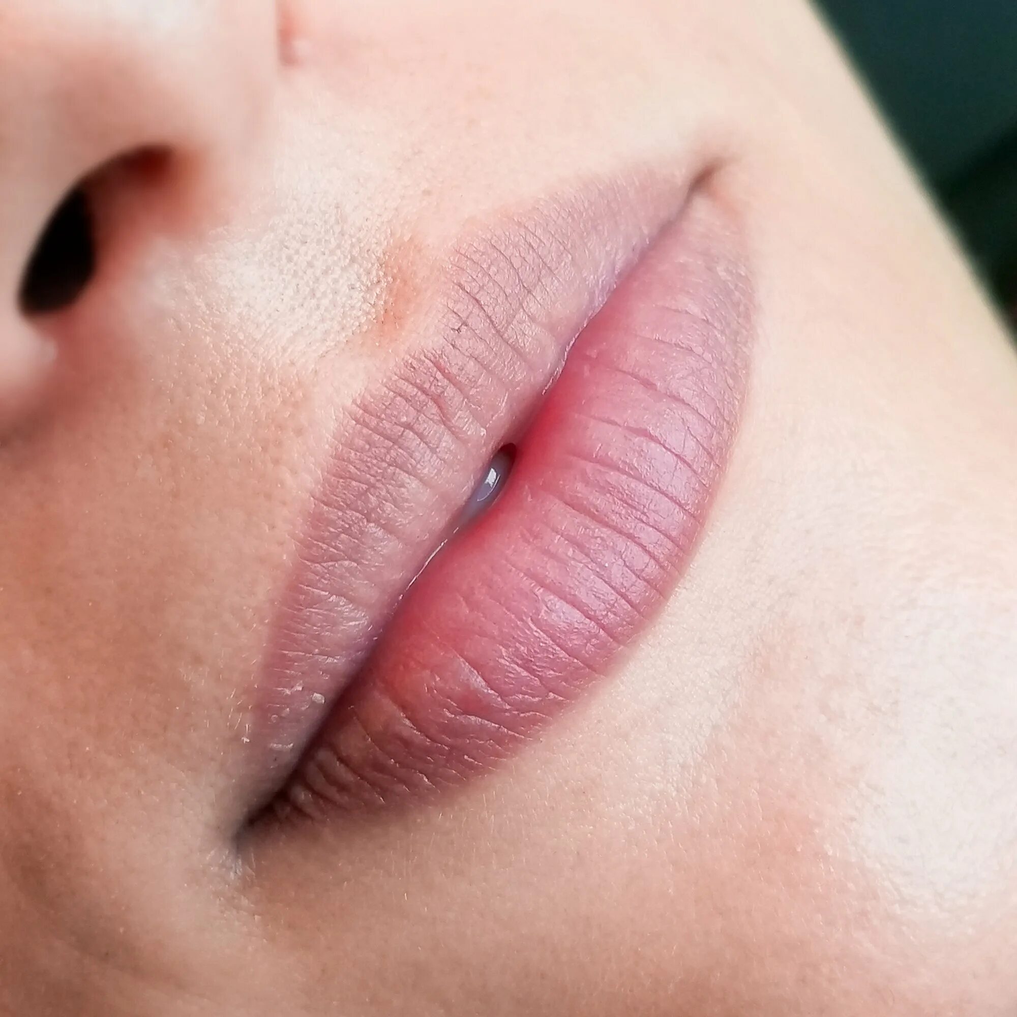 татуаж губ с растушевкой и 3д эффект. натуральный эффект губ. перманент губ контур. помадный татуаж губ. перманентный макияж губ.