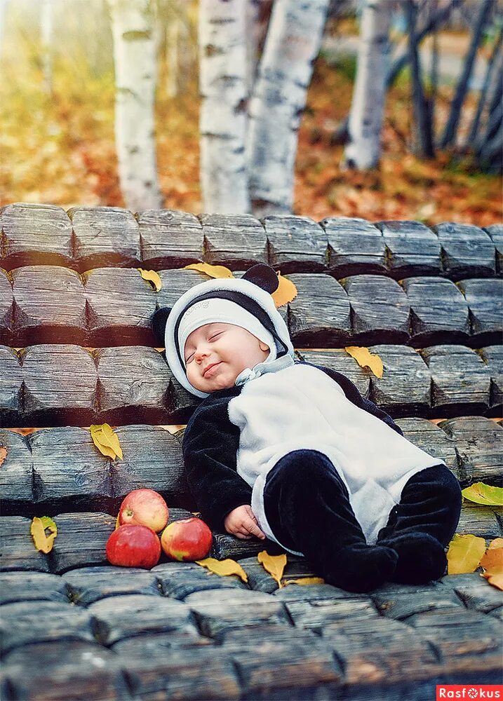 New Ideas For New Born Baby Photography : Fall Newborn Photo Ideas Zdjęcia nowor
