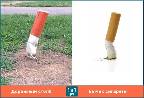 Окурки на белом фоне. Бычки в томате. Потушить бычок. Потушить бычок. Потушить бычок.