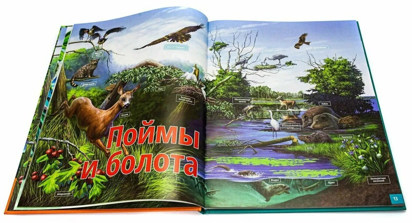 Жизнь животных том 5. Энциклопедия жизнь животных. Жизнь животных книга. Энциклопедии об Озерах.