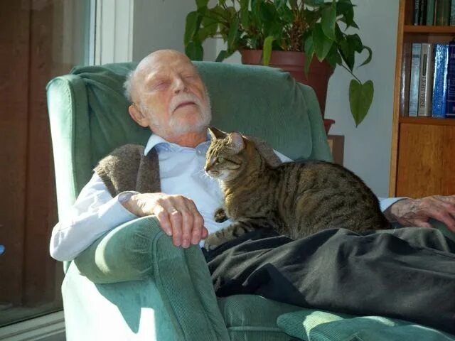 Дедушка кот. Старик и кот. Старик и кошка. Пожилой кот. Тем временем пожилой хозяин