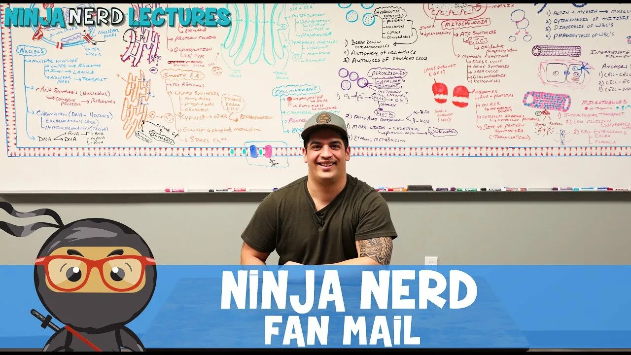 Ninja nerd. Ninja_nerd_lectures.