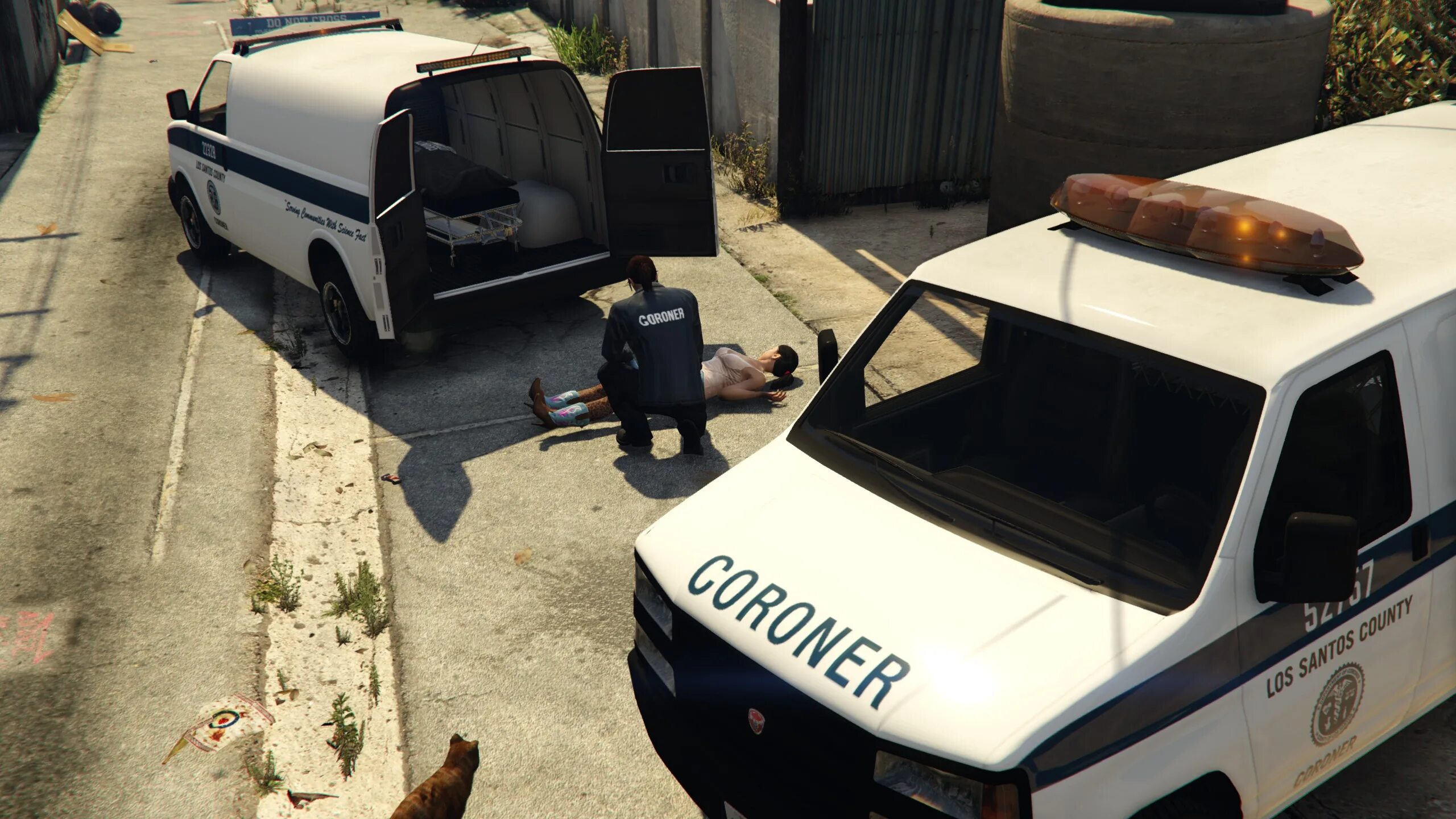 Coroner service gta 5. County of los santos. coroner lapd. офис коронера гта. coroner los santos.
