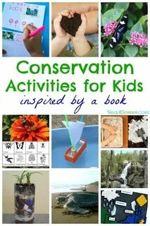 Environment activities