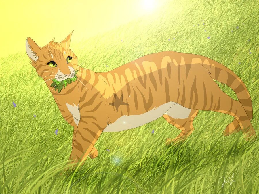 Пятнистая звезда коты воители вики. Коты воители пятнистая звезда речное племя. Коты воители деревяшка. Коты воители мотылинка. Коты воители листвяная звезда.