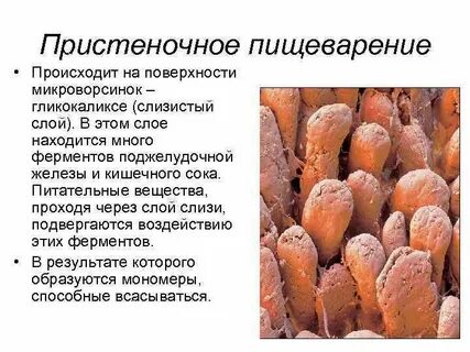 Сколько осуществляется