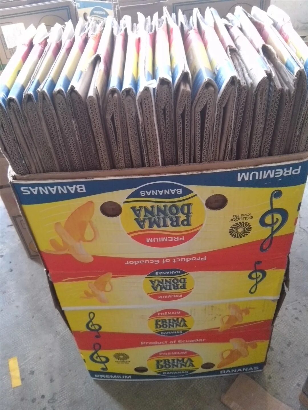 Картонные коробки для бананов. Банановая кожура. Банан. Коробка бананов. Вьетнамские бананы.