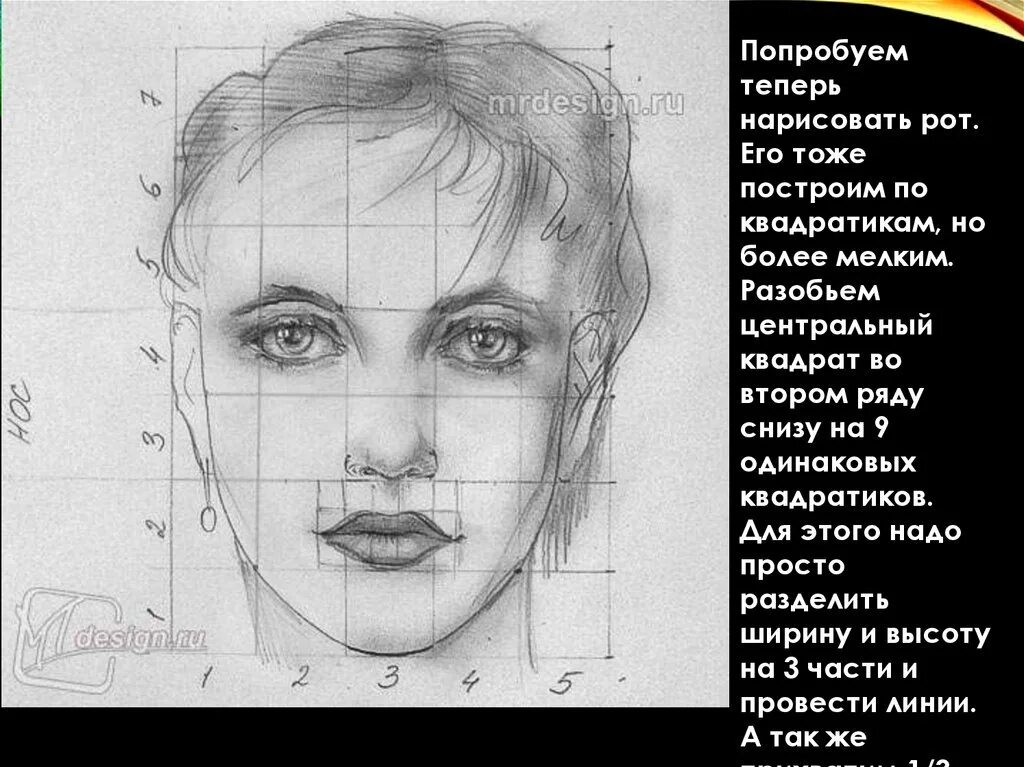 Пропорции лица. Лицо для рисования. Зарисовки лица человека. Портрет по пропорциям.