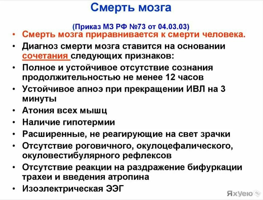 Ангиография смерть мозга. Как быстро умирает мозг. Смерть мозга наступает. Этические принципы констатации смерти мозга. Как быстро умирает мозг.