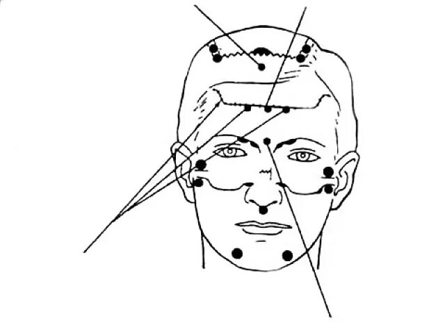 Болезненные точки на голове. Болевые точки на голове. Болевые точки на голове человека.