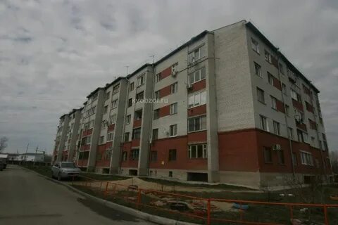 Тарманы