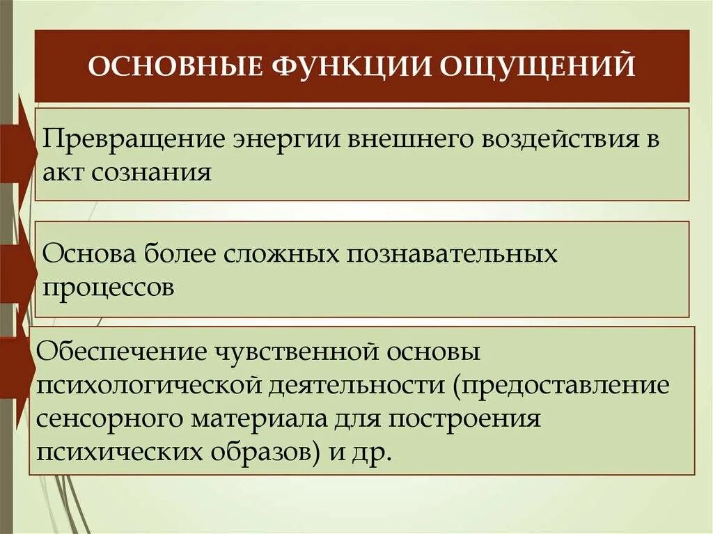 Свойства процесса ощущений. Функции ощущений. Функции ощущений в психологии. Познавательная функция ощущения. Определение функции ощущений.