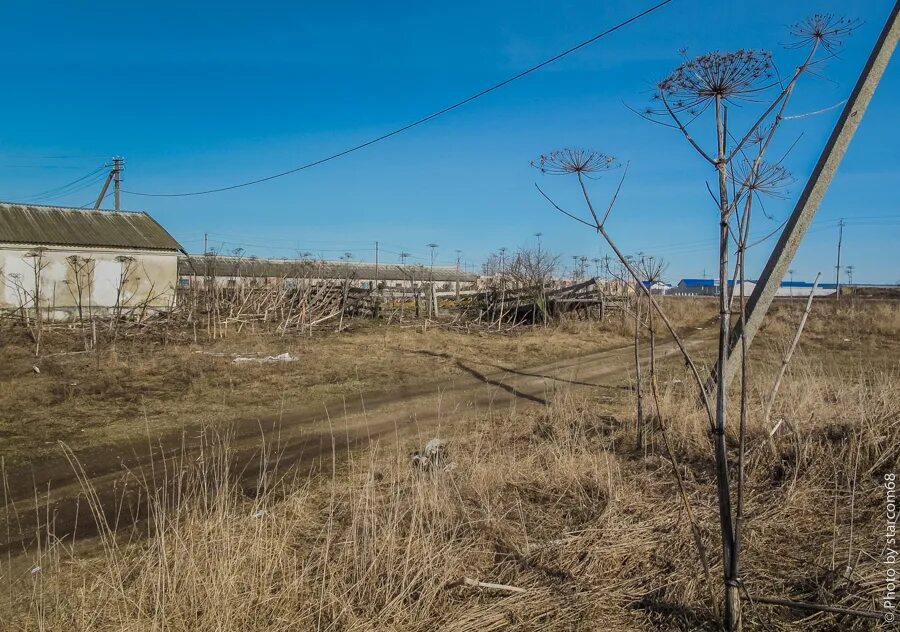 Совхозы псковская область. Село новопаньшино свердловская область. Совхозы псковская область. Совхозы псковская область. Деревня быстрецово.
