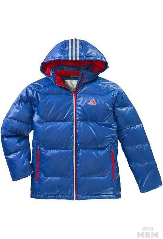 Куртка adidas gd2509. Куртка адидас для мальчиков. Adidas пуховик голубой. Куртка адидас для мальчиков. Зимняя куртка adidas originals.