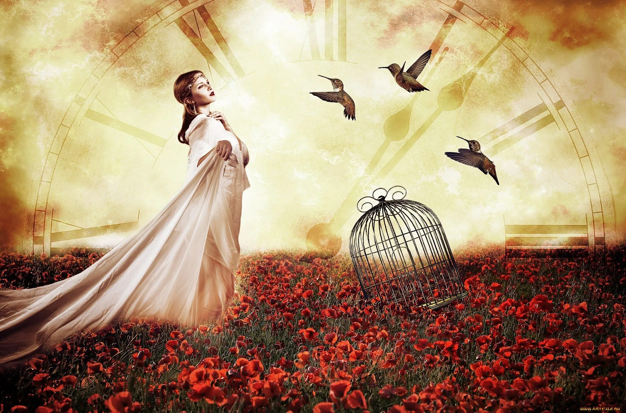 Отпустить птицу. Хочется летать от счастья. Как будто птицу в небо отпустить. Отпустить прошлое арт. Как будто птицу в небо отпустить.