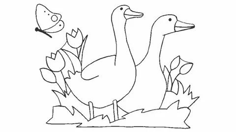 Dibujo de Animales de granja para colorear y pintar #334