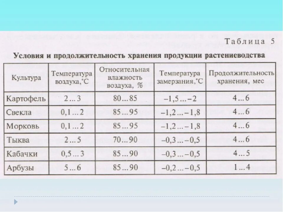 Какую температуру выдерживает рассада капусты. Температурный график хранения картофеля. Температурно-влажностные режимы хранения картофеля. Срок и темпиратура хранения морокови. Хранение моркови температурный режим.