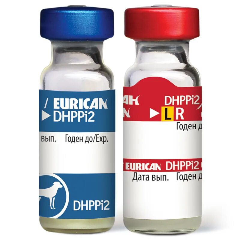 Вакцина эурикан для собак купить в москве. Eurican dhppi2. Эурикан LR И dhppi2. Вакцина Эурикан dhppi2-LR. Эурикан dhppi2 вакцина для собак.