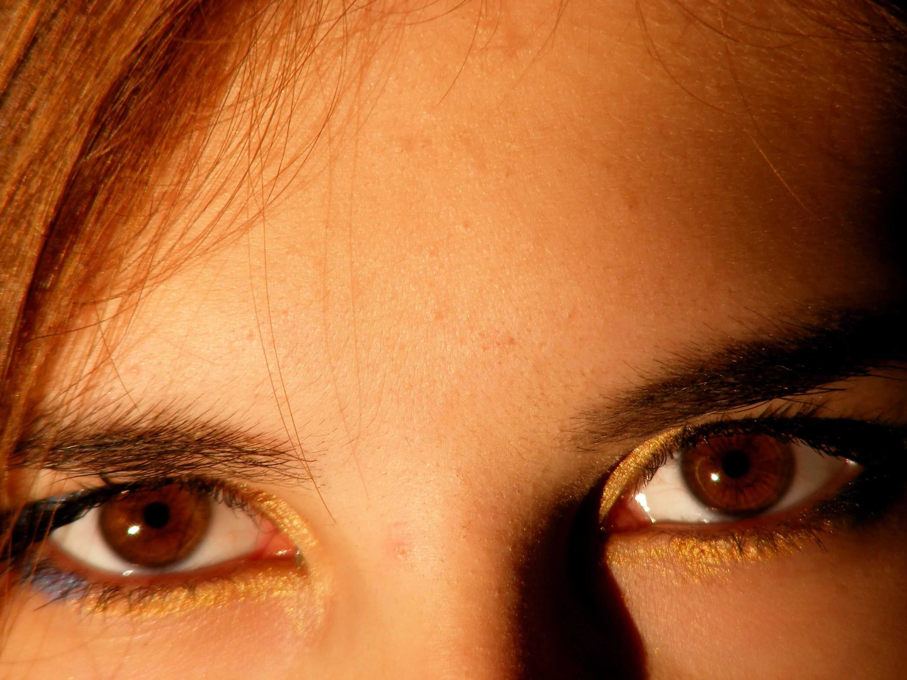 Light brown eyes. Light brown eyes. Светло карие глаза. Light brown eyes. Орехово янтарный цвет глаз.