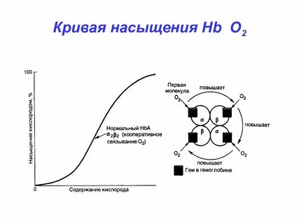 Пониженный уровень кислорода