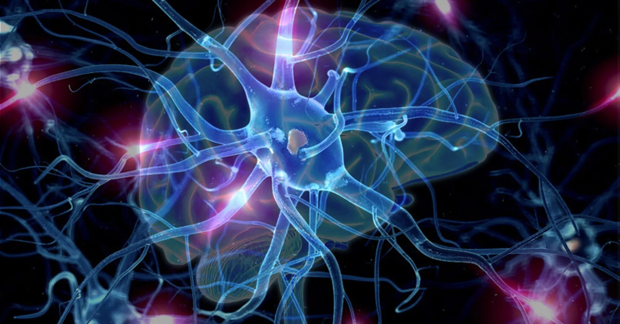 Нейронные связи головного мозга. Мозг человека Нейроны. Нейронная система мозга. Электричество Нейрон.