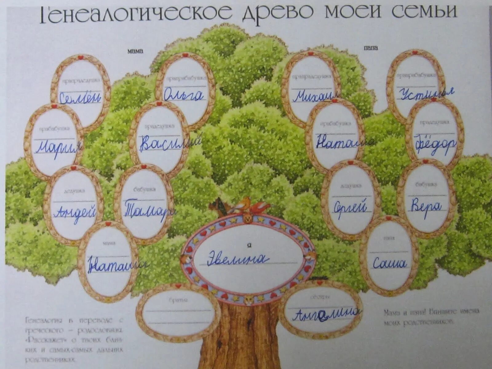 Составить родословную 3 класс