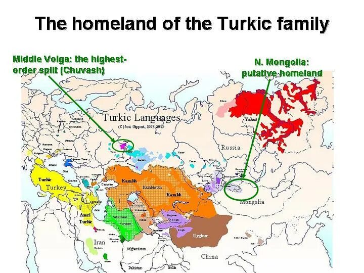 Тюркские народы алтайской языковой семьи. Тюркские языки карта. Тюркская семья языков карта. Классификация тюркских языков карта.