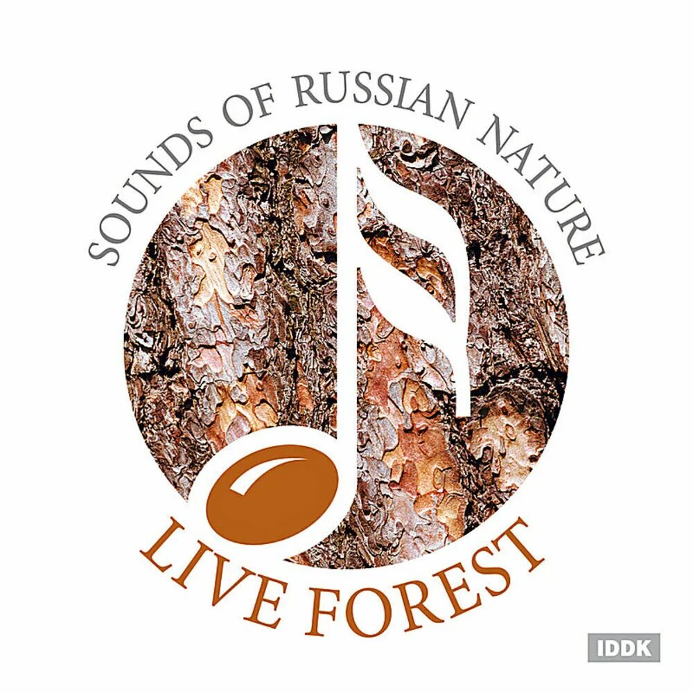Звуки леса леса для детей. Звуки леса mp3. Лес перевод. Шум в лесу. Звуки природы.