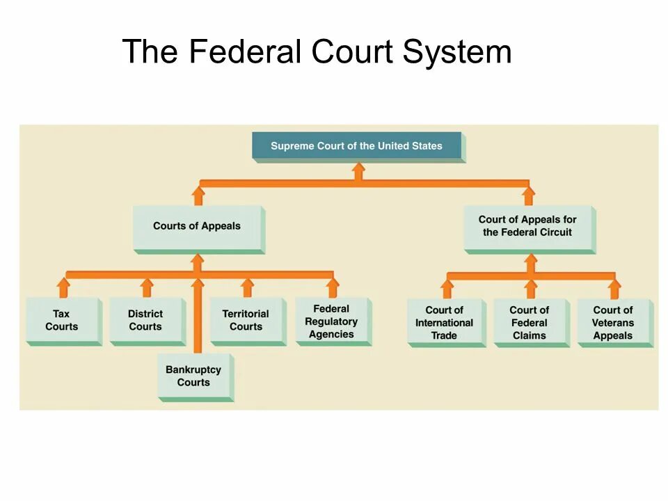 Civil system. Federal Court System. Judicial System in Russia схема. Political System of Russia схема. Политическая система США на английском.