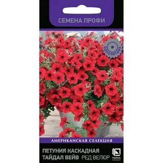 Тайдал ред велюр семена