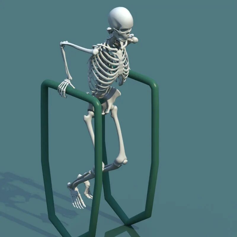 Три д скелет человека. Flex Skeleton 3d модель. Скелет 3д модель низкополигональный. Biped скелет. 3д модель скелета подвижного.