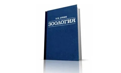 Курс зоологии