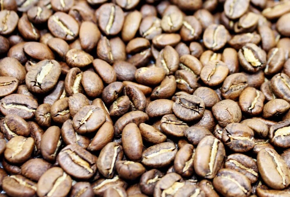 Сорта кофе в зернах. Колумбийский кофе в зернах. Элитный кофе в зернах. Греческие сорта кофе. Купить кофе на развес