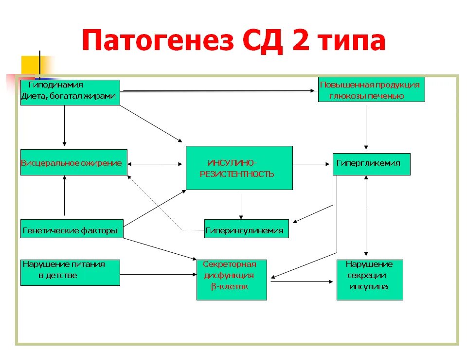2 механизмы развития. Механизм развития сахарного диабета схема. патогенез сд второго типа. этиология и патогенез сахарного диабета 2 типа. механизм развития сахарного диабета 2 типа схема.