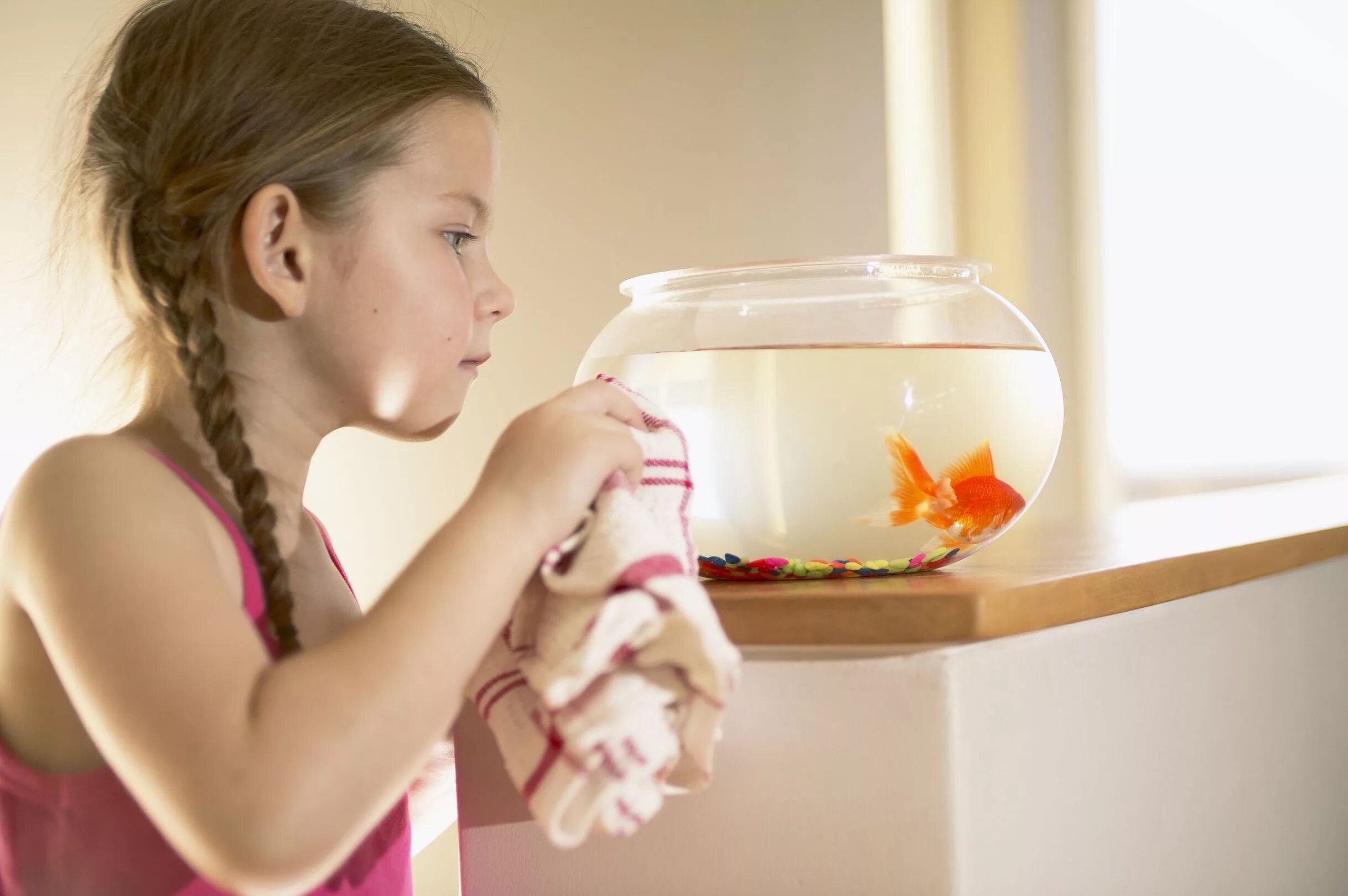 Дети ухаживают за животными. Девушка в аквариуме. Девочка с аквариумом. Аквариум для детей. Человек в аквариуме.