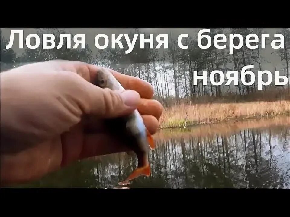 Ловля плотвы осенью на фидер на реке видео. Осенняя рыбалка. Рыбалка осень. Осенняя ловля щуки. Осенняя рыбалка.