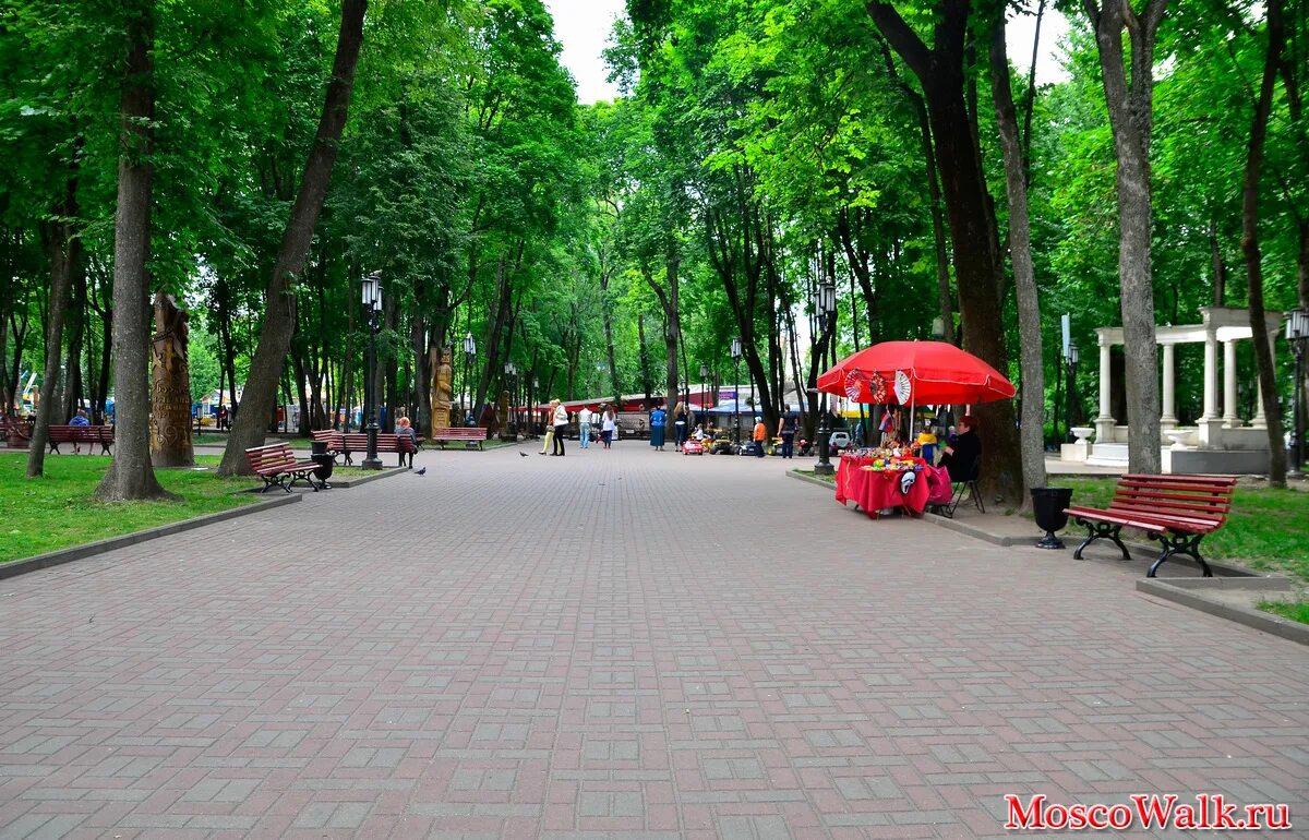 пкио им толстого химки. парк-музей имени а к толстого брянск. парк имени толстого. парк имени толстого в химках фотографии. парк им толстого брянск.