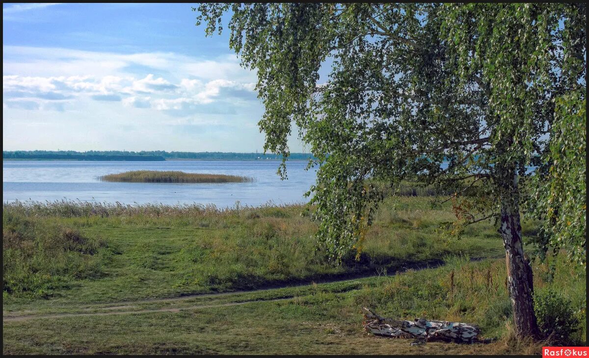 Березки копейск. Озеро Курочкино Копейск. Озеро Курочкино Челябинская. Поселок Старокамышинск озеро Курочкино Челябинская. Озеро Куркино Челябинск.