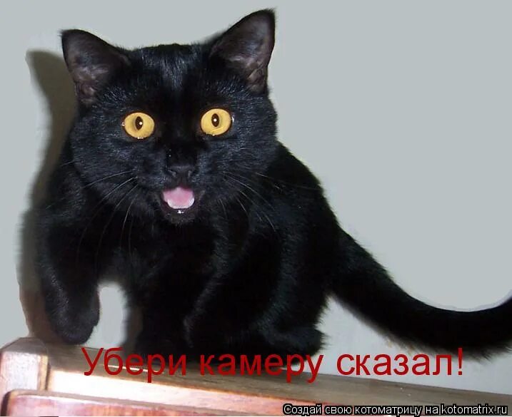 Убери говорю. Убери говорю