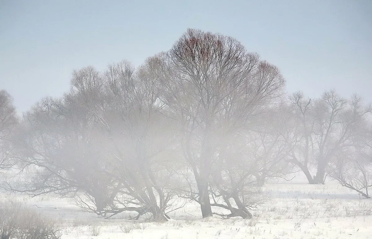 дыхание зимы конкурс 2023. доброго волшебного утра и рассвета. дыхание зимы конкурс 2023. зима 2022 природа. дыхание зимы конкурс 2023.
