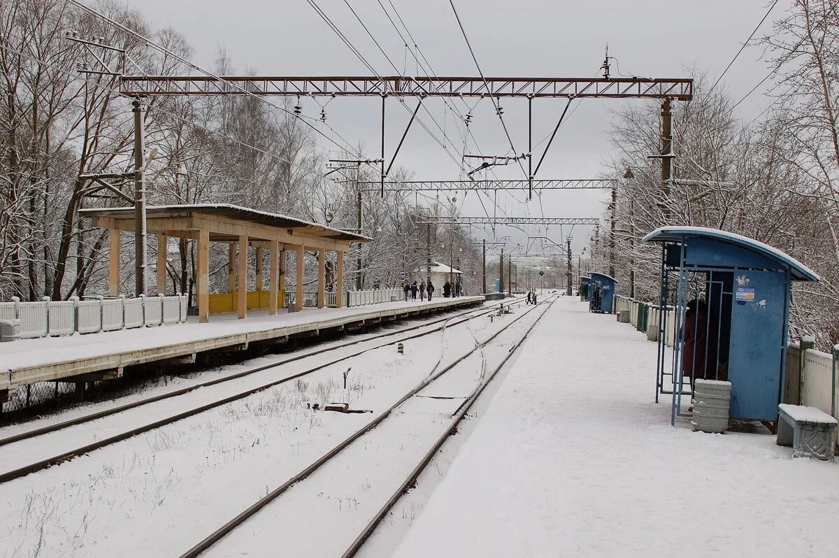 Платформа татьянино в гатчине. Электричка татьянино. Платформа татьянино в гатчине. Электричка татьянино. Гатчина-варшавская железнодорожный вокзал.