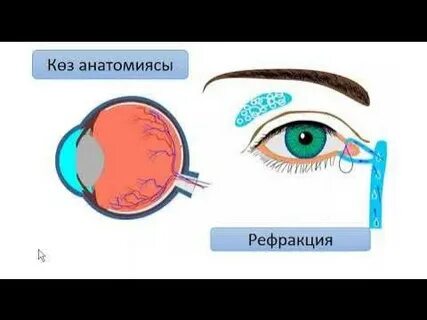 Мультфильм порно Кішкентай су перісі