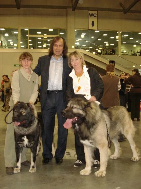 Каскадер президент ркф. Каскадер александр иншаков собаки. Руководитель ркф иншаков александр. Иншаков ркф. Иншаков ркф.